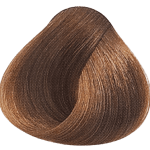 Lakme Collage Permanent Hair Color - 8/30 Gold Light Blonde