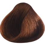 Lakme Collage Permanent Hair Color - 8/60 Chestnut Light Blonde