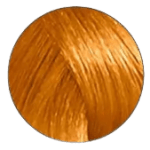 Igora Royal Hair Color - 0-55 Gold Concentrate