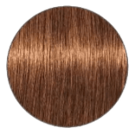 Igora Royal Hair Color - 7.55 Medium Blonde Gold Extra