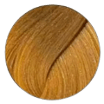 Igora Royal Hair Color - 9.5-4 Pastel Toner Beige