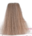 Kallos KJMN Cream Hair Color - 8.1 Light Ash Blond