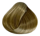Lourich Professional Hair Color Cream - 8.22 Light Matt Blonde