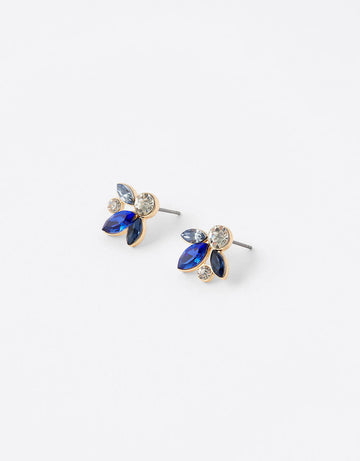 Accessorize Ombre Gem Stud Earrings