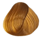 Secret Fragrance Hair Color - 7.3 Golden Blonde