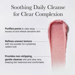 Arencia Fresh Rosehip Rich Mochi Cleanser 120g