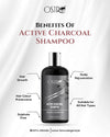 Ostro Odyssey Active Charcoal Sulphate And Paraben Free Shampoo 300ml