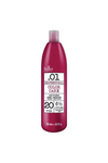 Silky Developer 20 Volume 1000ml