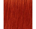 Nouvelle Lively Color 8.44 light blonde copper intense 100ml