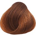 Lakme Collage Permanent Hair Color - 8/00 Light Blonde