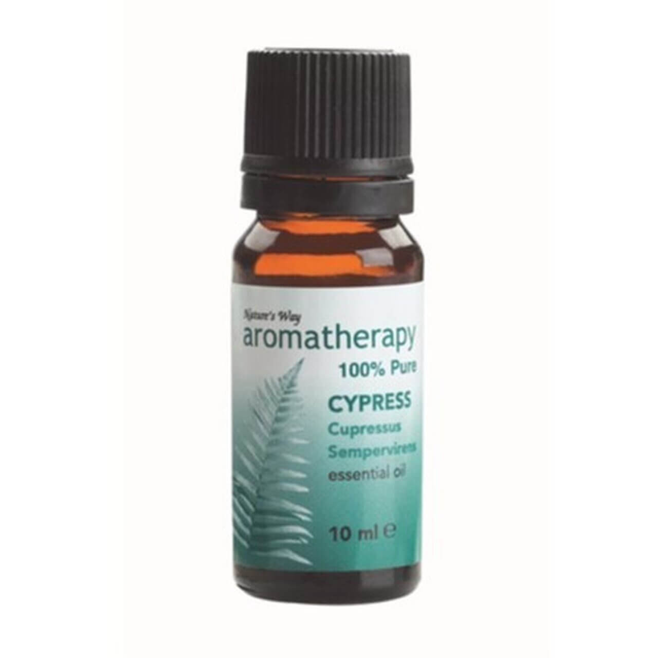 Aromatherapy Oil Natures Way Cypress 10ml