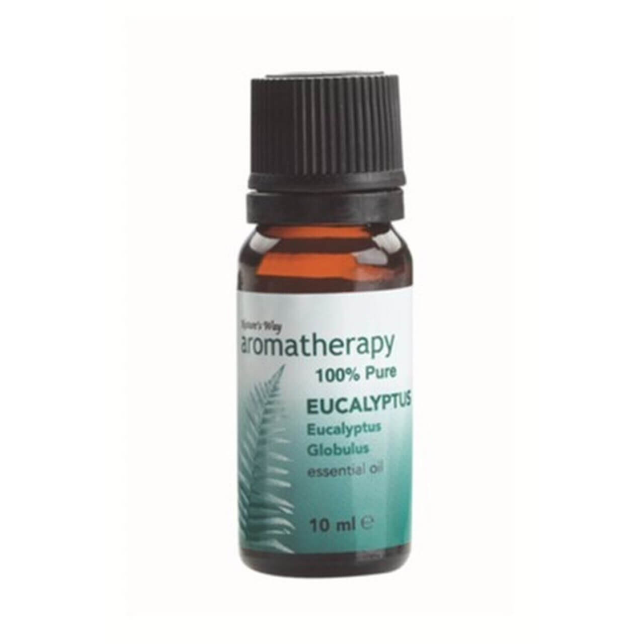 Aromatherapy Oil Natures Way Eucalyptus 10ml