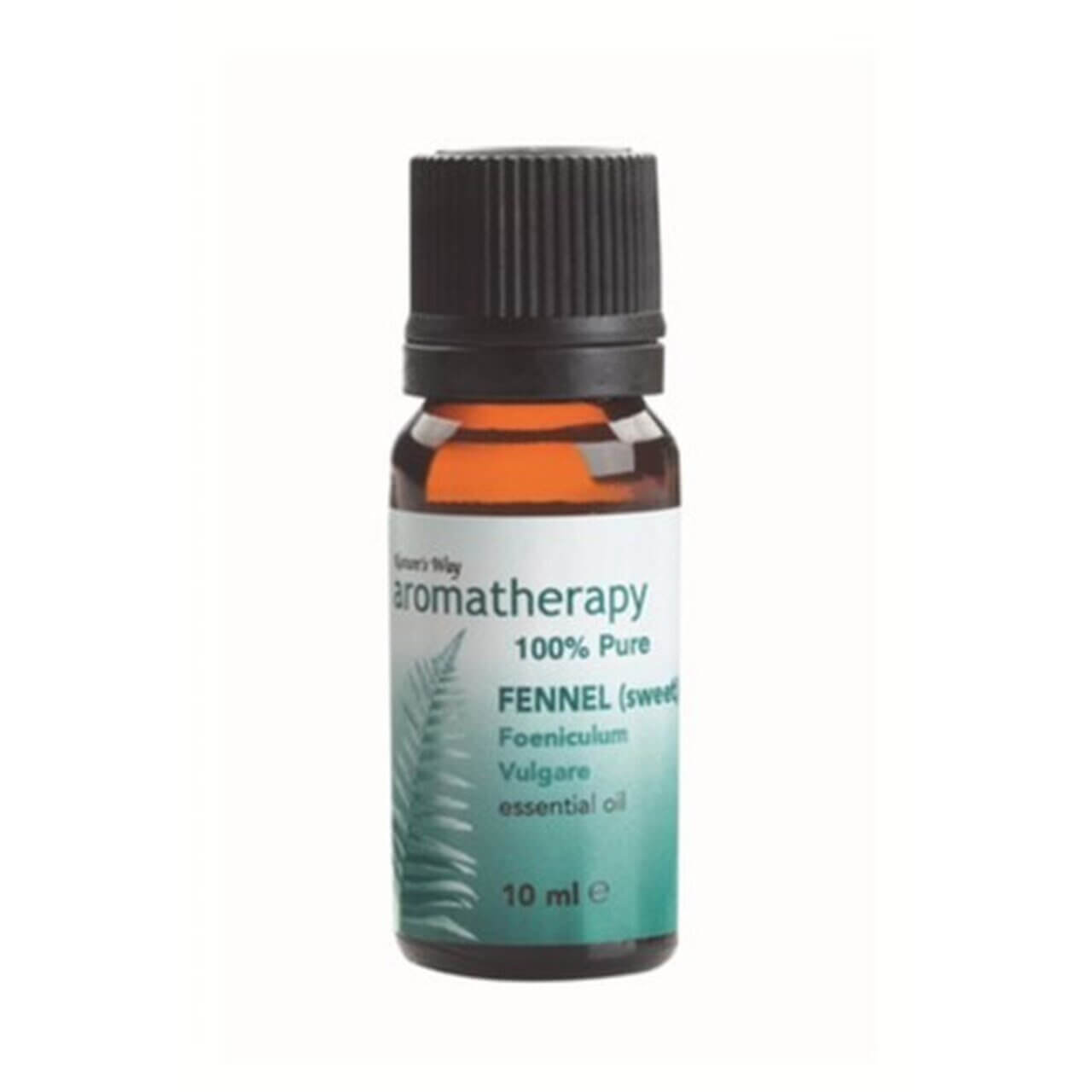 Aromatherapy Oil Natures Way Fennel 10ml