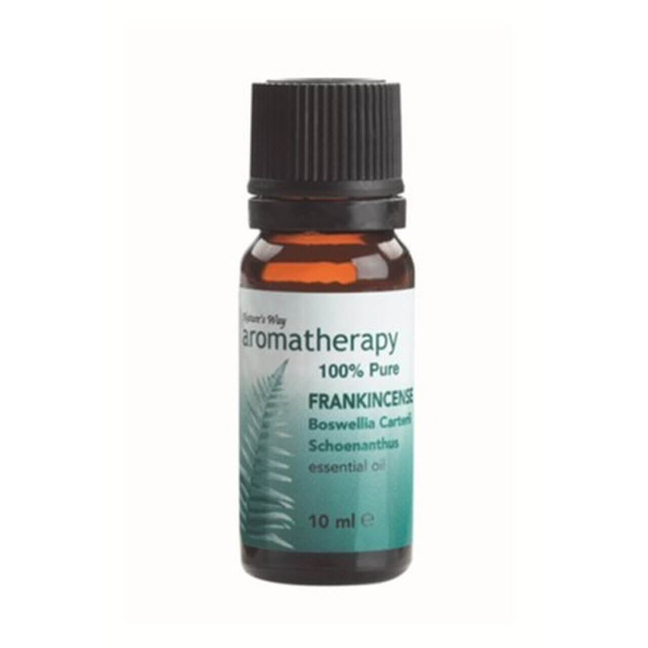 Aromatherapy Oil Natures Way Frankincense 10ml