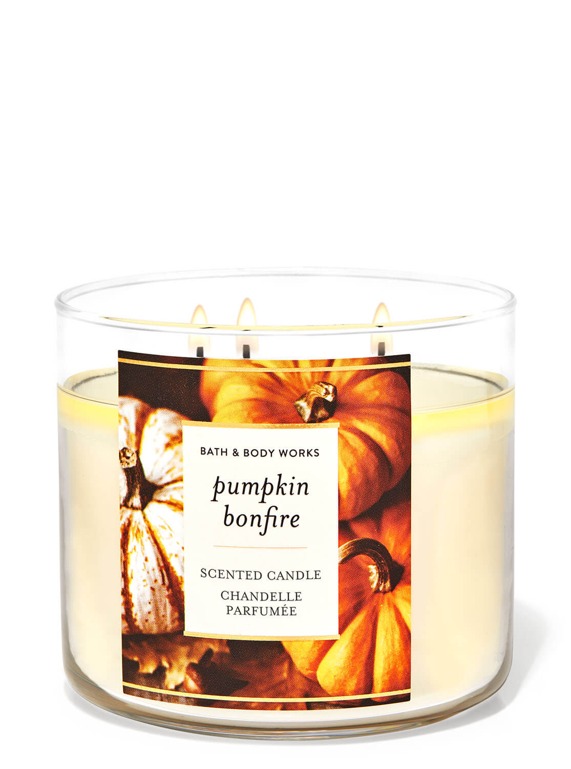 Bath & Body Works Pumpkin Bonfire 3-Wick Candle