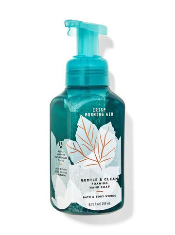 Bath & Body Works Crisp Morning Air Gentle & Clean Foaming Hand Soap