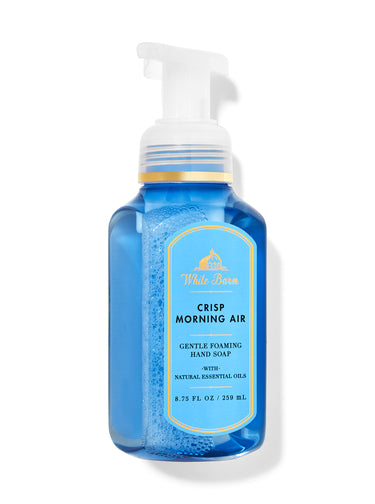 Bath & Body Works - Crisp Morning Air - Gentle & Cleansing Foaming Hand Soap 259ml