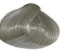 Eazicolor Permanent Hair Color - Silver