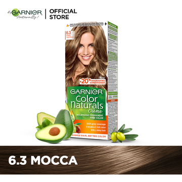 Garnier Color Naturals 6.3 Golden Light Brown Hair Color