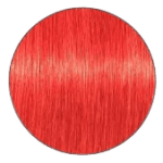 Igora Royal Hair Color - 0-88 Red Concentrate