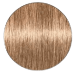 Igora Royal Hair Color - 8.0 Light Blonde