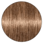 Igora Royal Hair Color - 8.00 Light Blonde Extra