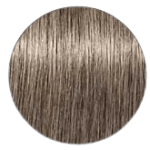 Igora Royal Hair Color - 8.1 Light Blonde Silver