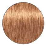 Igora Royal Hair Color - 8.65 Light Blonde Auburn Gold