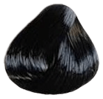 Lourich Professional Hair Color Cream - 2.0 Black