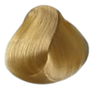 Secret Fragrance Hair Color - 10.0 Intense Lightest Blonde