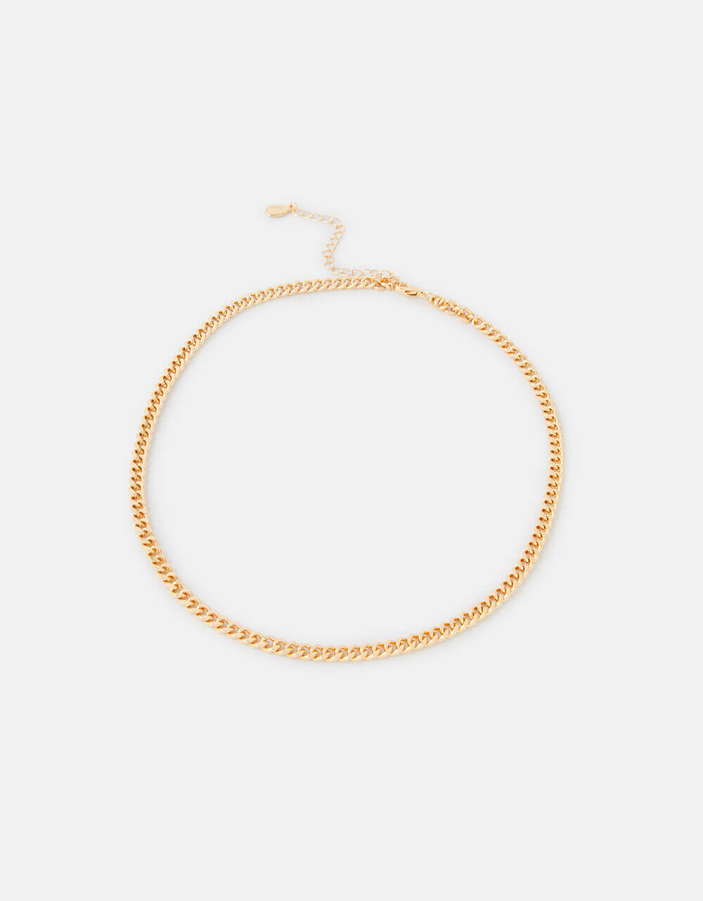 Accessorize Simple Small Chain Necklace