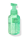 Bath &  Body Works Coconut Mint Drop Gentle Foaming Hand Soap 259ml